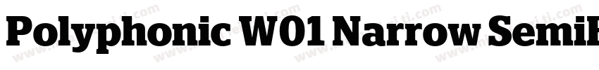 Polyphonic W01 Narrow SemiBold字体转换
